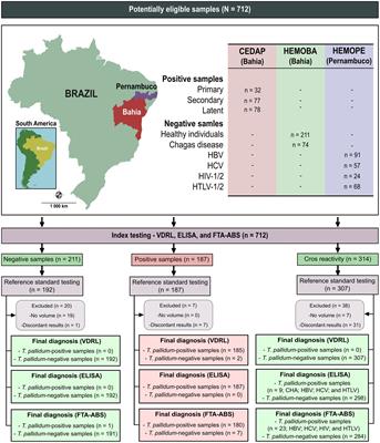 Evaluating the diagnostic accuracy of TpN17 and TmpA recombinant proteins in syphilis detection: a phase II study